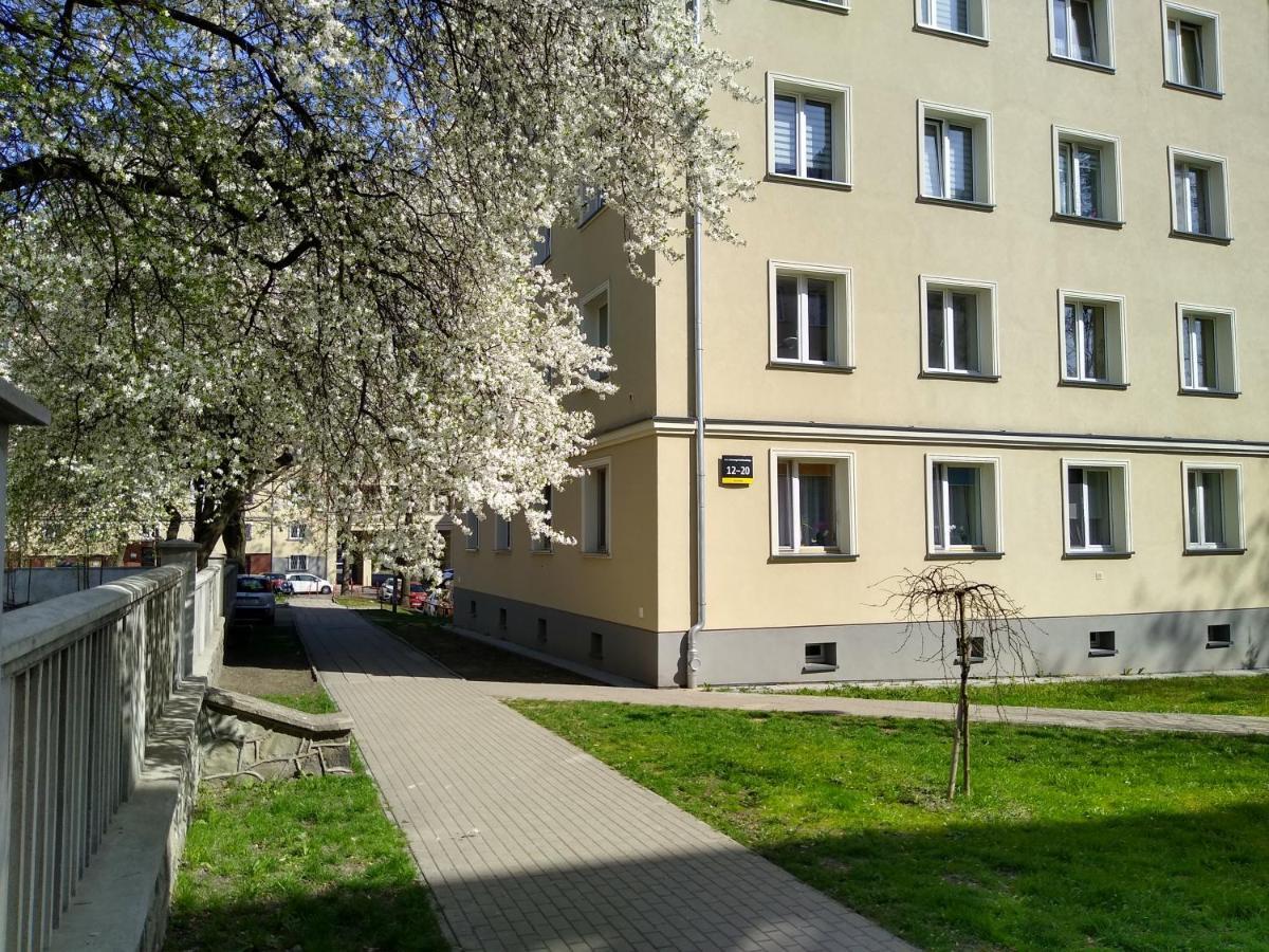 Apartment Bluebird Katowice Near Spodek Mck & City Center Eksteriør bilde